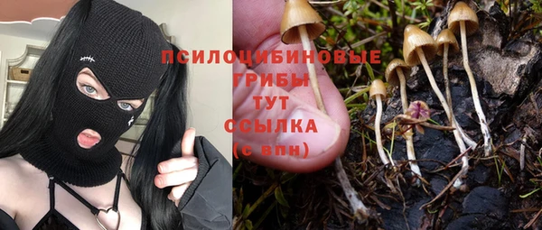 первитин Абаза