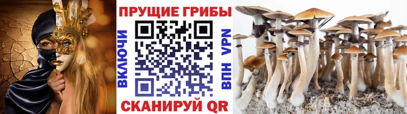 Галлюциногенные грибы прущие грибы  Полтавская 